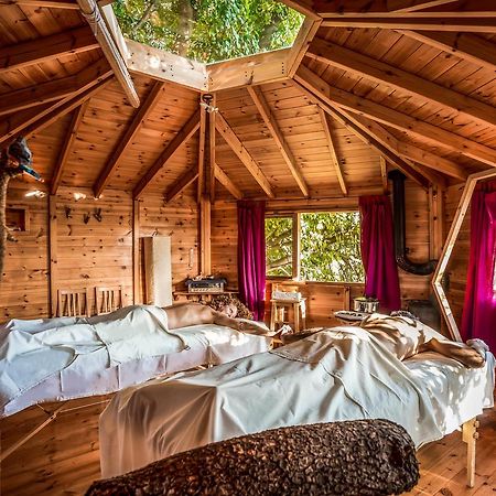 Spa In The Woods - B&B In Амирим Экстерьер фото